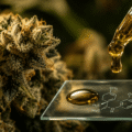 THC : effets, mécanismes et précautions (guide complet 2026)