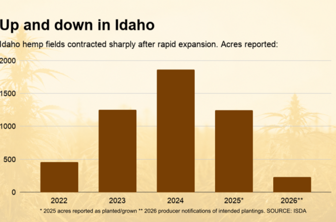 producteurs chanvre - Les producteurs de chanvre de l'Idaho réduisent considérable