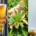 consommation quotidienne - La consommation quotidienne de cannabis dépasse désormais ce