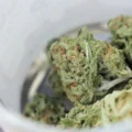 étude montre - Une étude montre que la légalisation du cannabis réduit le t