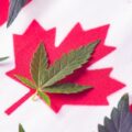 canada record - Le Canada bat un record mensuel de ventes de cannabis et dép