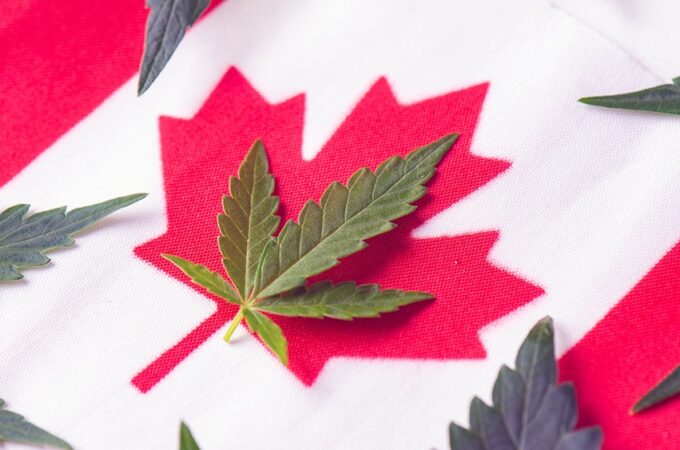 canada record - Le Canada bat un record mensuel de ventes de cannabis et dép