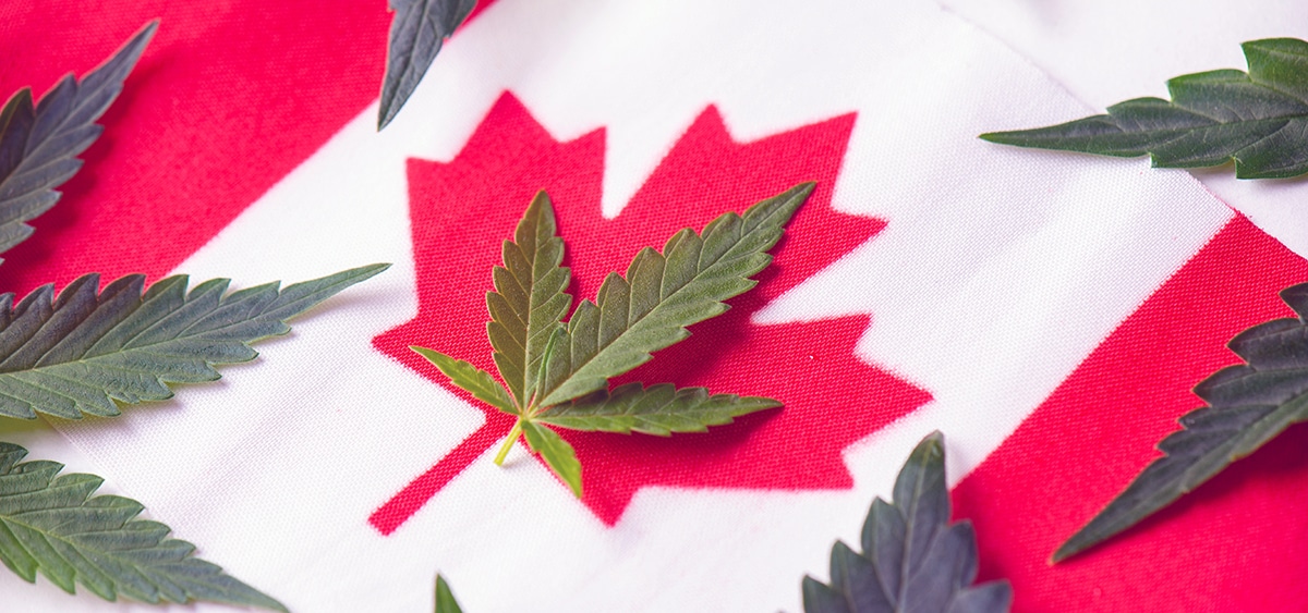 canada record - Le Canada bat un record mensuel de ventes de cannabis et dép
