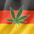 importations cannabis - Les importations de cannabis médical en Allemagne ont été mu