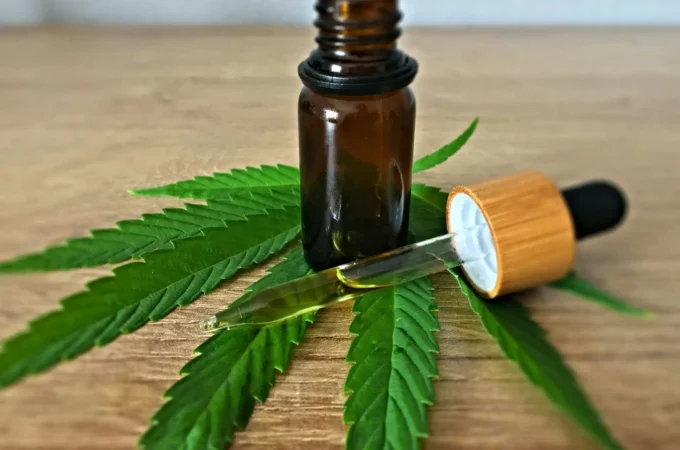 une etude montre que le cannabis medical ameliore la satisfa étude montre - Une étude montre que le cannabis médical améliore la satisfa