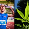 étude révèle - Une étude révèle que le CBD possède des « propriétés suscept