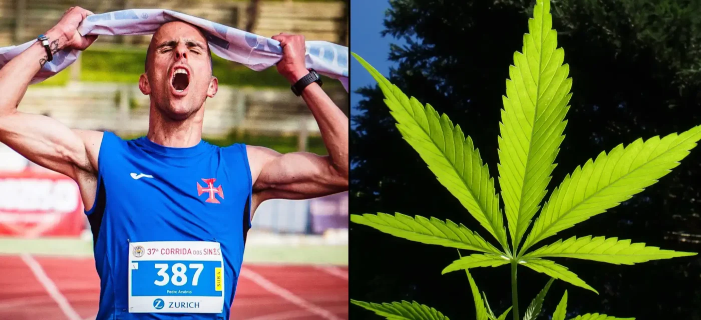 étude révèle - Une étude révèle que le CBD possède des « propriétés suscept