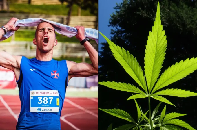 étude révèle - Une étude révèle que le CBD possède des « propriétés suscept