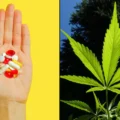 cannabis médical - Le cannabis médical soulage les douleurs lombaires et réduit