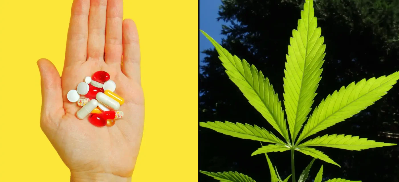 cannabis médical - Le cannabis médical soulage les douleurs lombaires et réduit