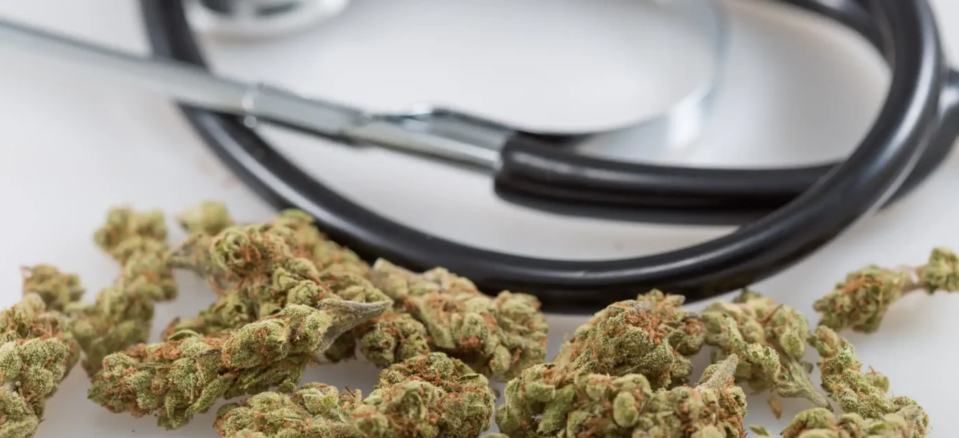 patients consommant - Les patients consommant du cannabis à des fins médicales se