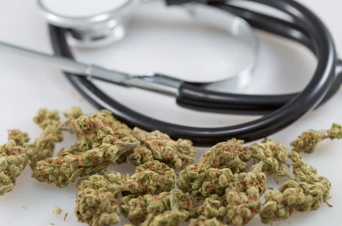 patients consommant - Les patients consommant du cannabis à des fins médicales se