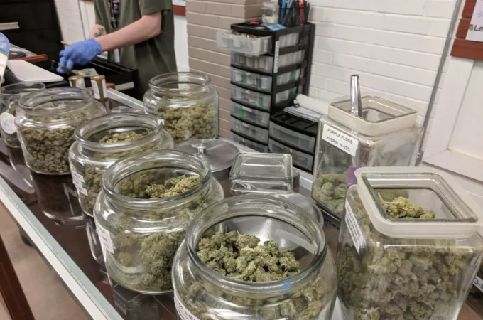une etude montre que louverture de dispensaires de cannabis étude montre - Une étude montre que l'ouverture de dispensaires de cannabis